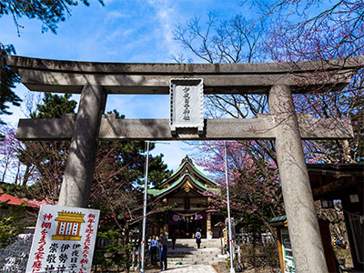 弥彦神社画像