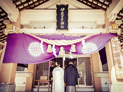 弥彦神社画像