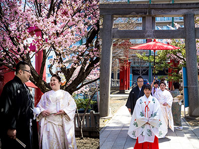 弥彦神社画像