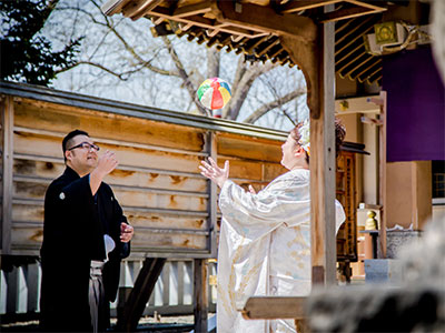 弥彦神社画像