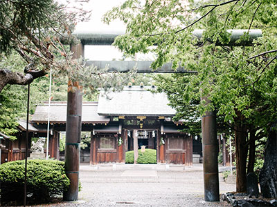 琴似神社画像