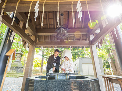 新琴似神社画像